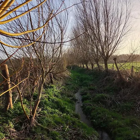 Maison Avec Jardin à La Campagne Hébergement de vacances Port-Bail-sur-Mer