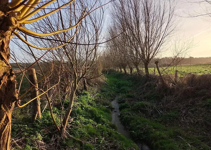 Maison Avec Jardin A La Campagne בית נופש Port-Bail-sur-Mer